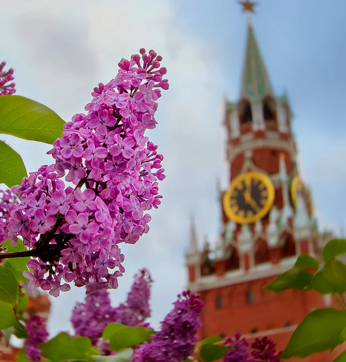 Май в москве картинки