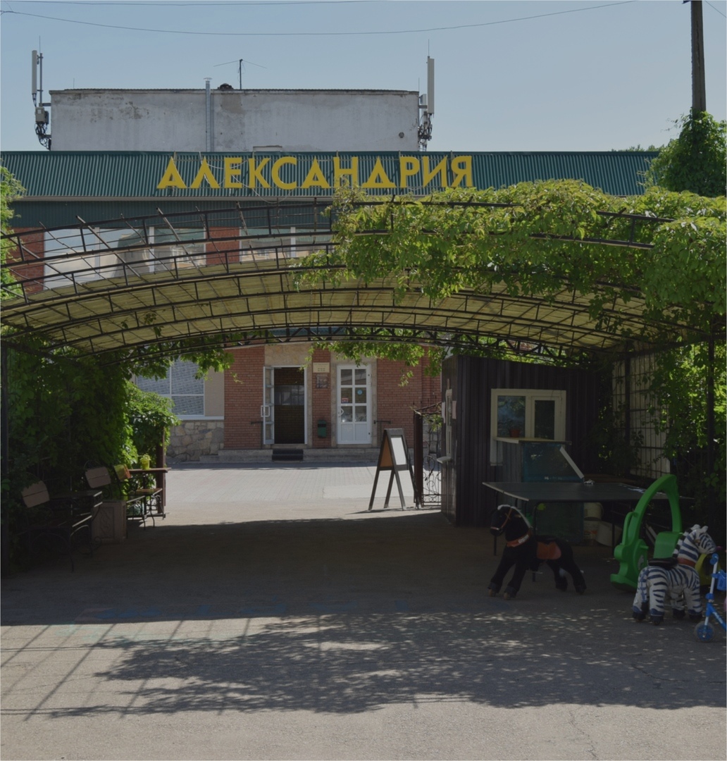 Александрия макеевка фото