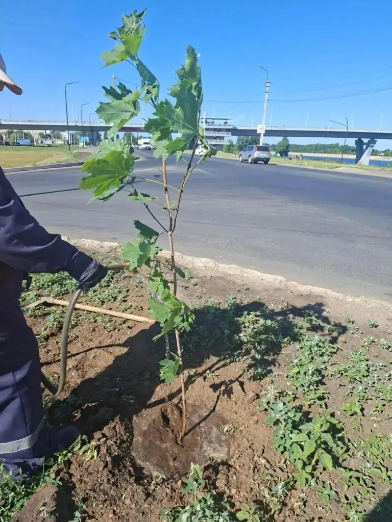 Балаково продолжают приводить в порядок