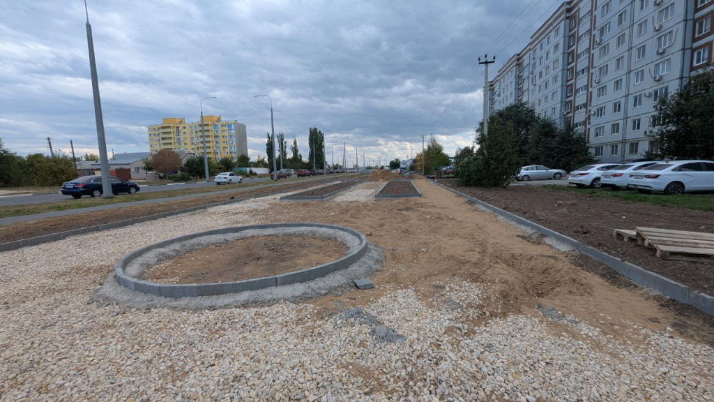 Новый сквер разбили в Балаково