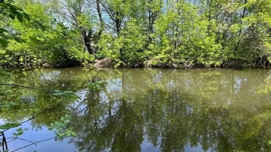 В балаковском пруду нашли утонувшего рыбака
