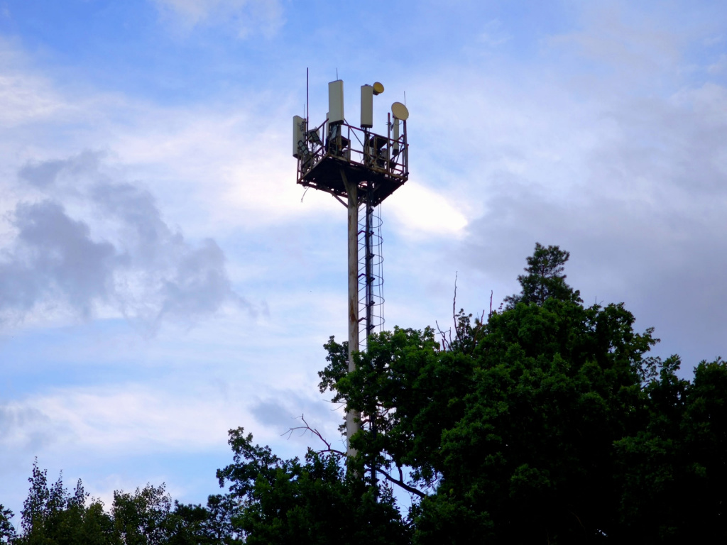 МТС усилила сеть 4G на крупном агропредприятии в Саратовской области