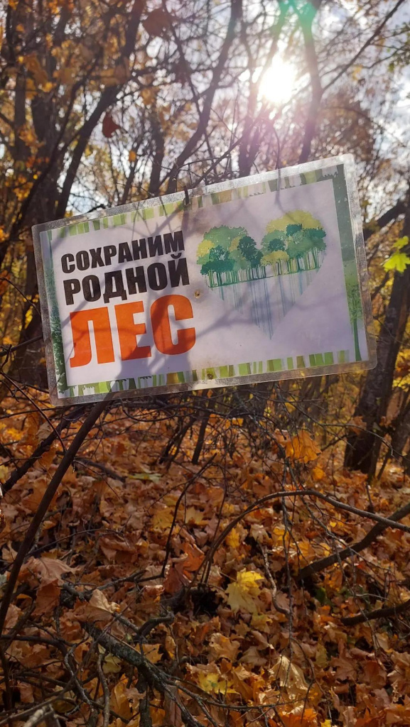 В лесах региона продлили запрет на пребывание