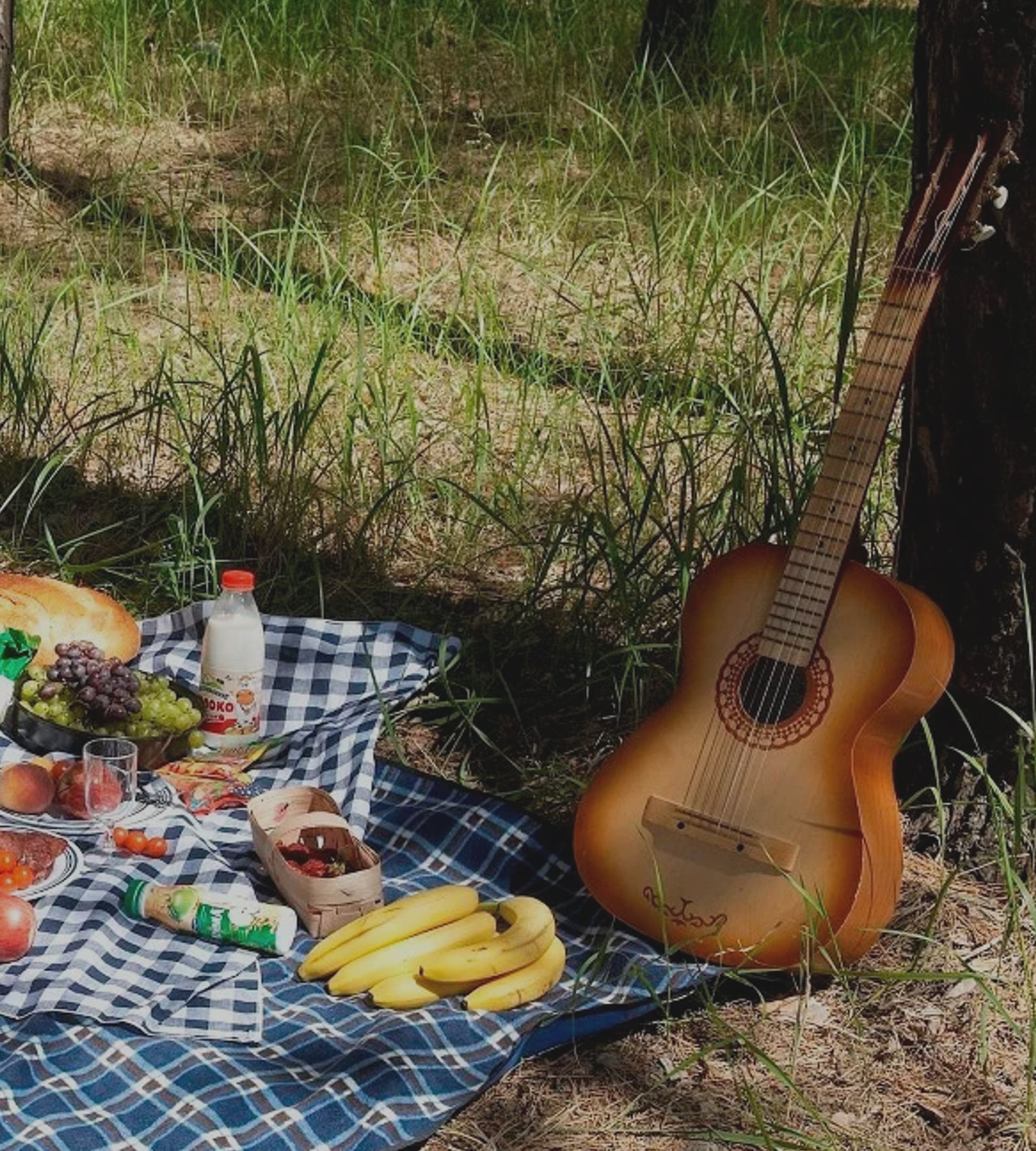 Ничего не бойся пикник когда написана. Ходить на пикник. Пикник простой. Картинки пикника на природе с шашлыком. Славянский пикник.