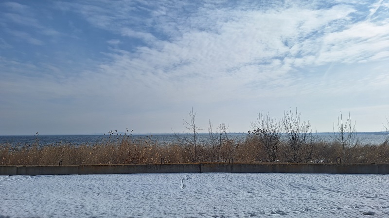 20260317_113231.jpg