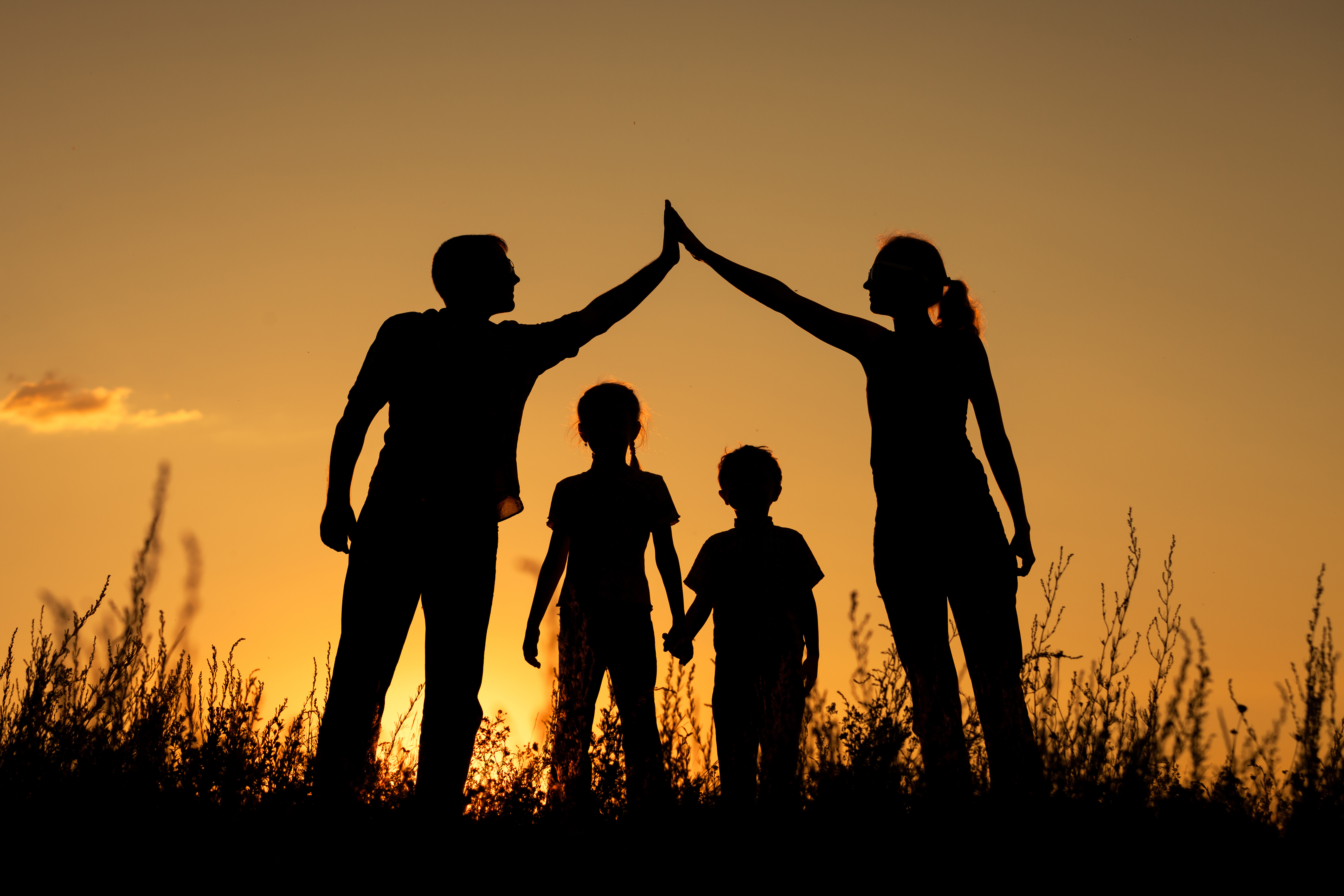 importance-of-family-in-mental-health-recovery.jpg