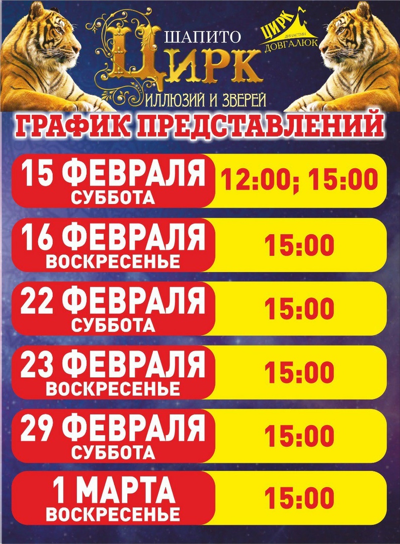 Армада расписание. Цирк шапито династии Довгалюк. Цирк шапито билеты. Цирк шапито Волгоград Династия Довгалюк. Цирк династии Довгалюк Волгоград.