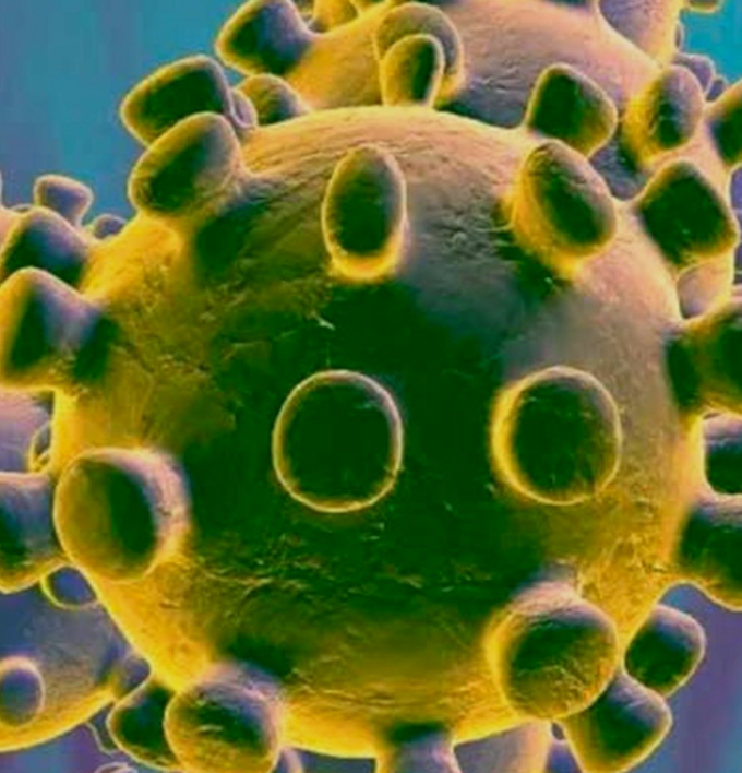 коронавирус(6).jpg