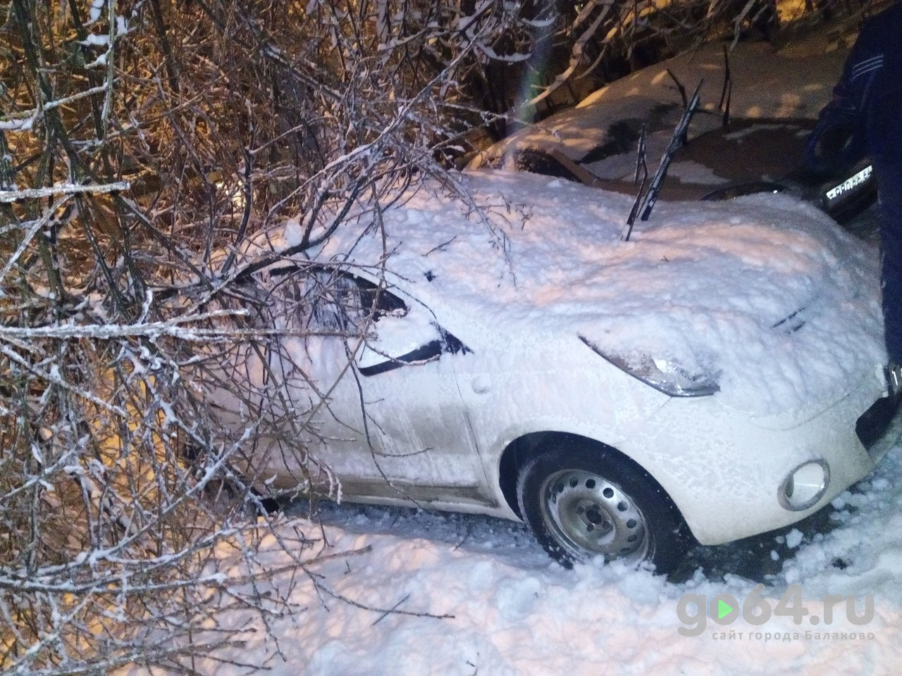 В Балаково вместе со снегом на землю падали деревья 